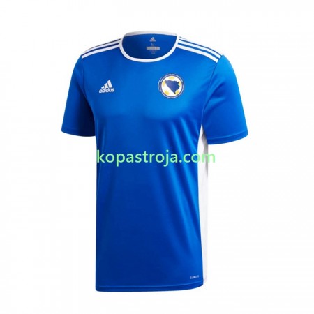 Billiga Fotbollströjor Bosnien och Hercegovina Hemma tröja 2022 Kortärmad